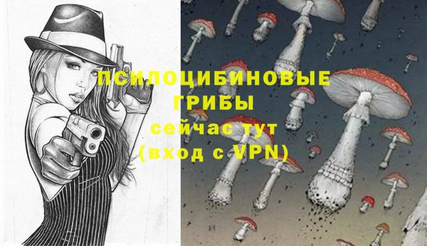 бошки Богданович