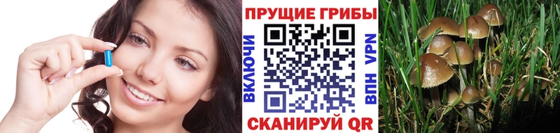 Галлюциногенные грибы Magic Shrooms  Биробиджан 